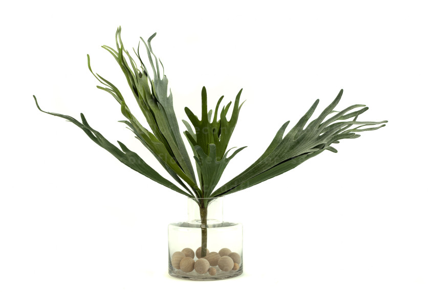 K&uuml;nstliches Platycerium