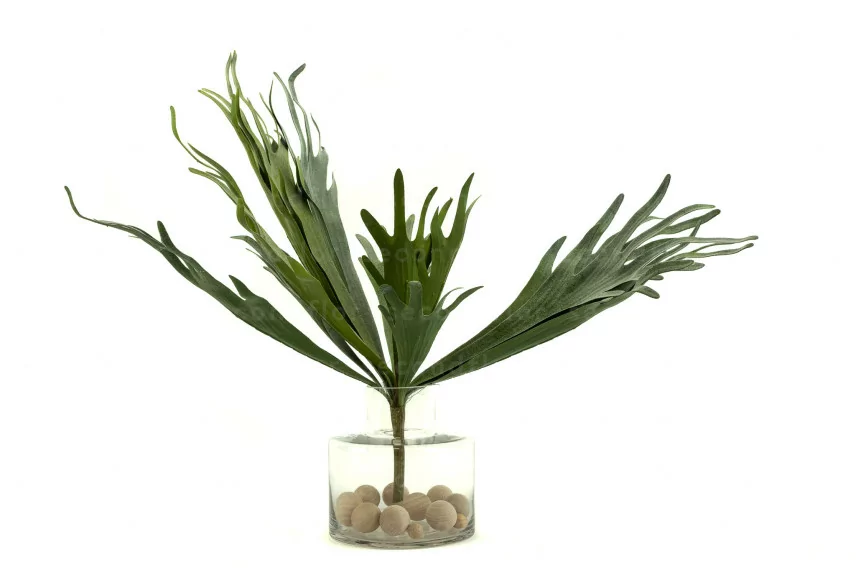 Platycerium Artificiel