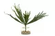 Platycerium artificial 1