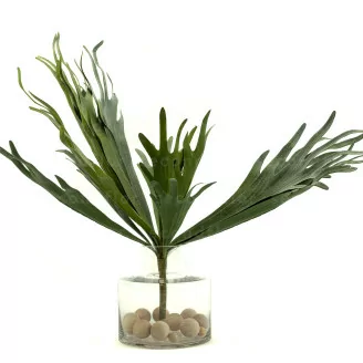 Platycerium artificial