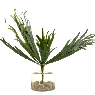 Platycerium Artificiel