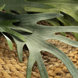 K&uuml;nstliches Platycerium