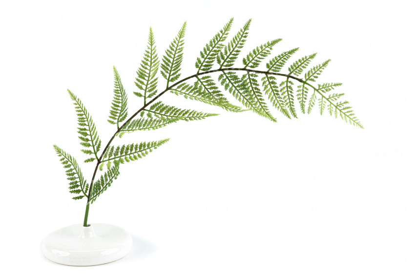 Artificial Fern - 4 Stems