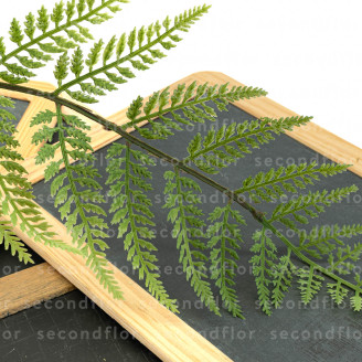 Artificial Fern - 4 Stems