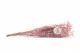 Gypsophila stabilizzata Rosa pastello 8