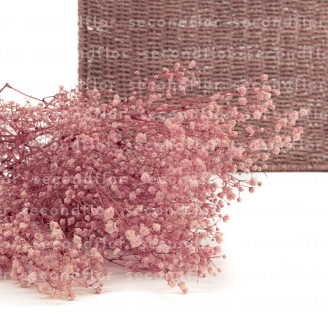 Gipsofila Preservada - Pastel Pink