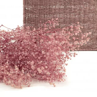 Konserviertes Schleierkraut Pastellrosa