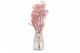 Konserviertes Schleierkraut Pastellrosa 4