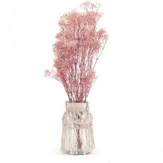 Konserviertes Schleierkraut Pastellrosa