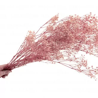 Preserved Gypsophila Pastel Pink