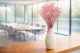 Gipsofila Stabilizzata - Pastel Pink 1