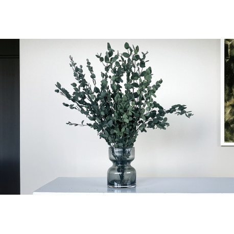 saatgut onlineshop Feldgurke "Marketmore"