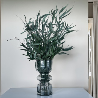 Eucalipto Willow Preservado - Verde