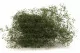 Gypsophile Mini stabilis&eacute; Eden Green 5