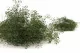 Gypsophile Mini stabilis&eacute; Eden Green 8