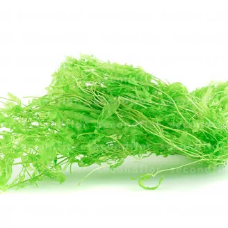 Felce Acquatica stabilizzata