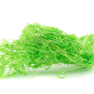 Foug&egrave;re Aquatique Stabilis&eacute;e - Vert