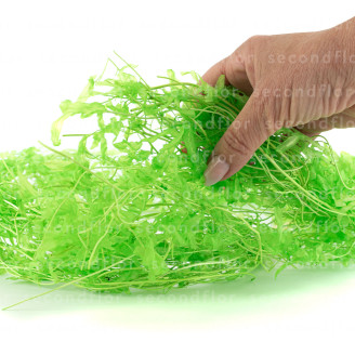Aquatic Fern Stabilized - Green