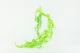 Preserved Aquatic Fern 1
