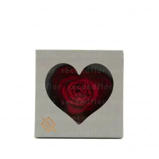 Rosa stabilizzata a forma di cuore XXL Rossa
