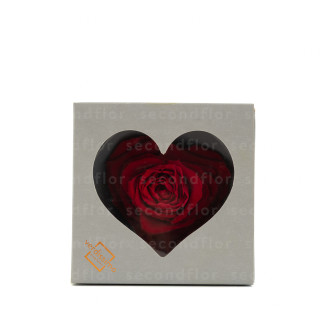 Rote konservierte XXL-Rose in Herzform