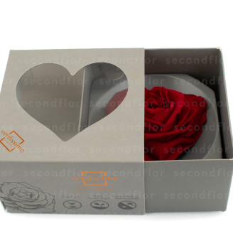 Red XXL Heart-Shaped Preserved Rose
