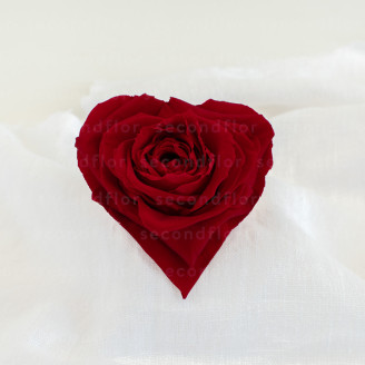 Rosa stabilizzata a forma di cuore XXL Rossa