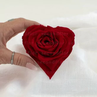Rosa preservada en forma de coraz&oacute;n XXL Roja