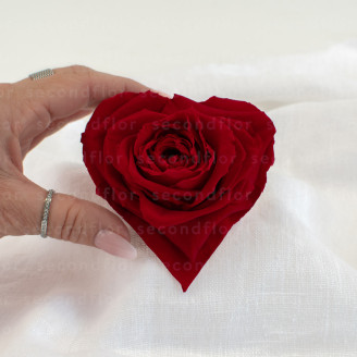 Rose stabilis&eacute;e forme c&oelig;ur XXL Rouge