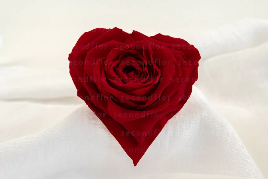Rosa preservada en forma de coraz&oacute;n XXL Roja