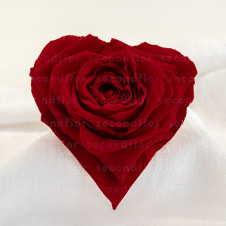 Rosa stabilizzata a forma di cuore XXL Rossa