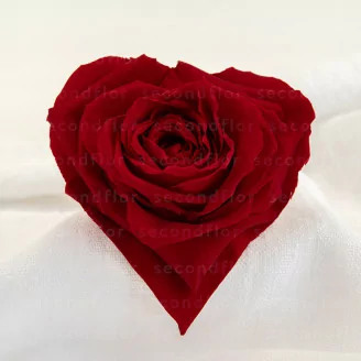 Rosa stabilizzata a forma di cuore XXL Rossa