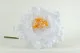 Peon&iacute;a Gigante artificial Blanca 6