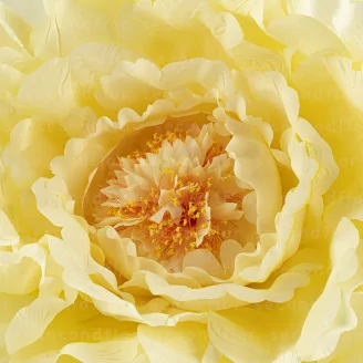Pivoine G&eacute;ante artificielle Jaune