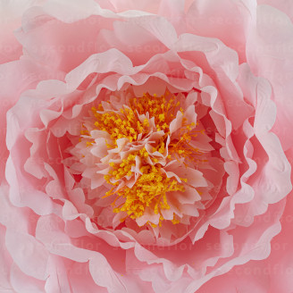 Pivoine Artificielle G&eacute;ante Rose