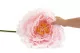 Pivoine G&eacute;ante artificielle Rose 3