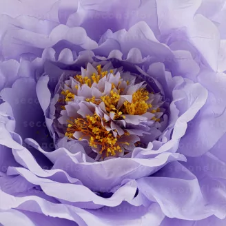 Pivoine G&eacute;ante artificielle Lilas