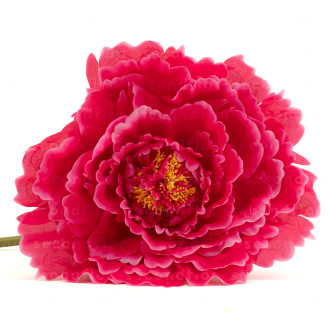 Peon&iacute;a Artificial Gigante Fucsia