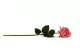 Rosa artificiale Real Touch 3