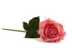 Rosa artificiale Real Touch 6