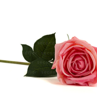 K&uuml;nstliche Rose Real Touch