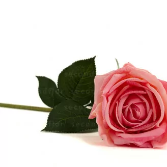 Rosa artificial Real Touch