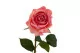 Rosa artificiale Real Touch 9