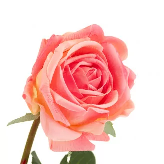 Rosa artificial Real Touch