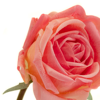 Real Touch Artificial Rose