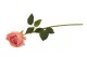 Rosa artificial Real Touch 10