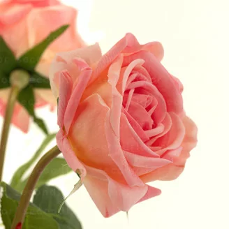 Rosa artificial Real Touch