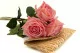 K&uuml;nstliche Rose Real Touch 5
