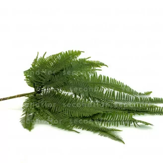 Preserved Mountain Fern Green