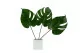 Petite Feuille de Monstera stabilis&eacute;e (x3) 1